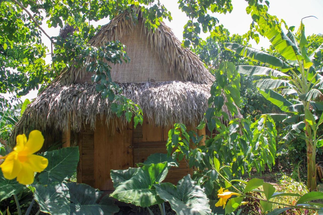Samana Ecolodge El Limon Exterior photo