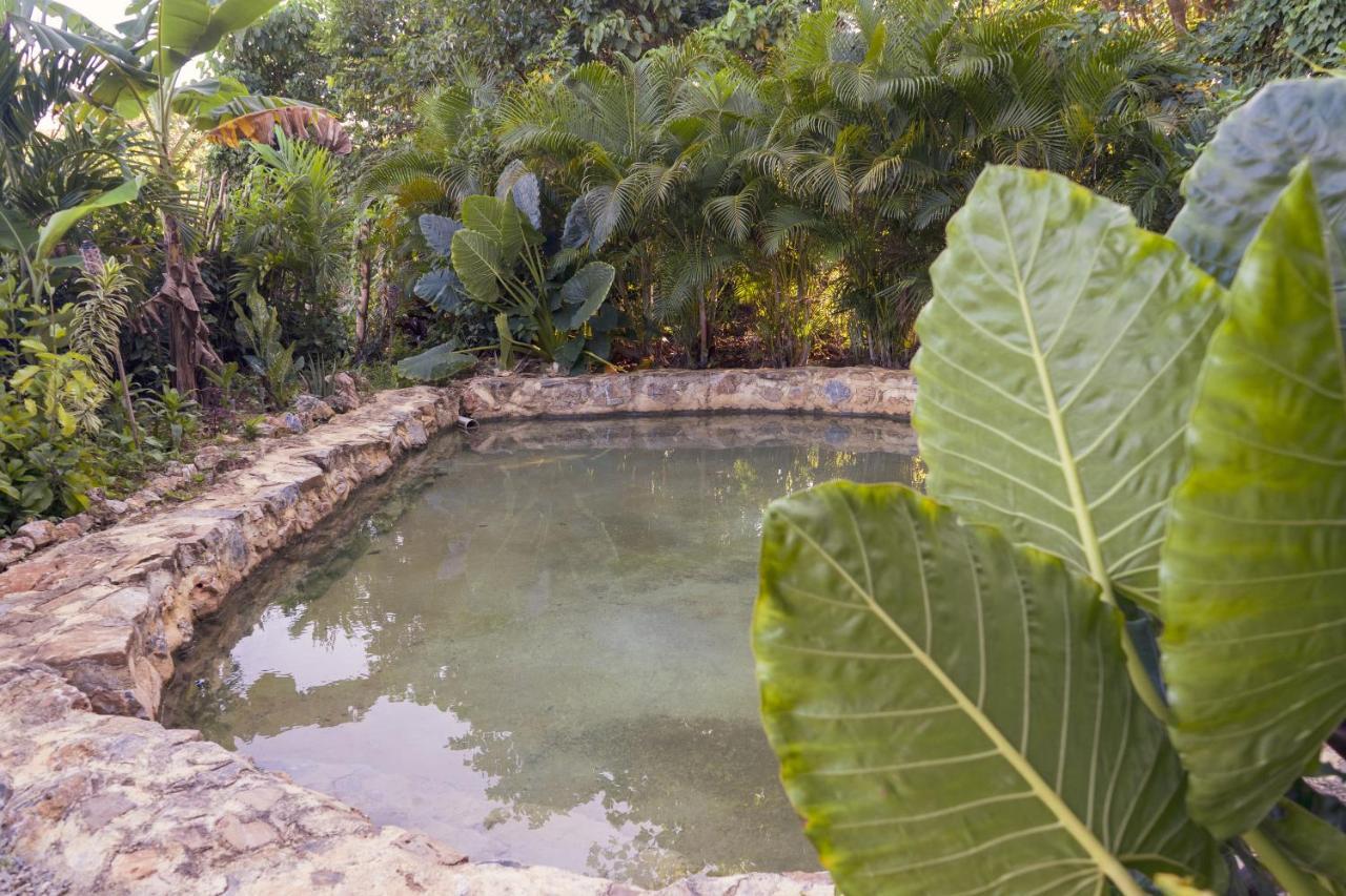 Samana Ecolodge El Limon Exterior photo