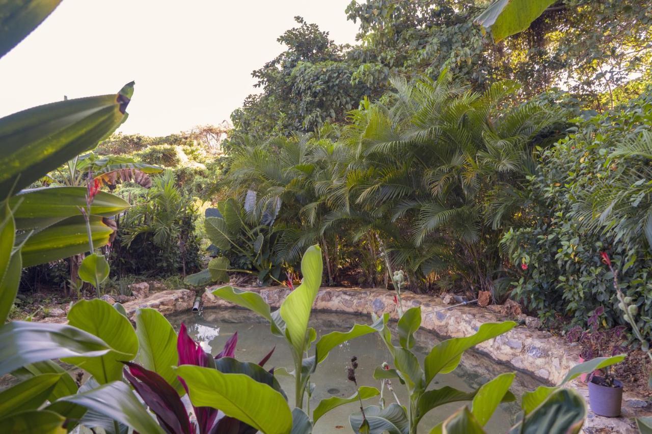 Samana Ecolodge El Limon Exterior photo